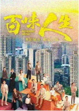雾港回声 剧集片源校验记录